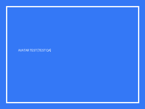 Test Audyt QA