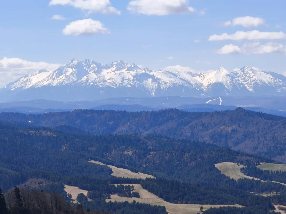 Zdjęcie szczytu Wysoka (1050.00m) w paśmie Pieniny