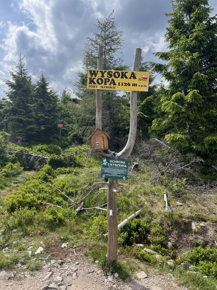 Zdjęcie szczytu Wysoka Kopa (1126.00m) w paśmie Góry Izerskie