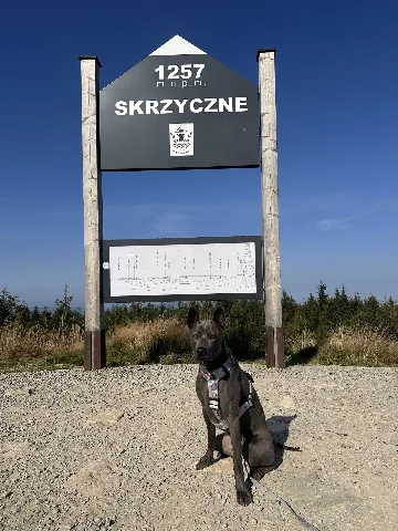 Zdjęcie społeczności — Skrzyczne
