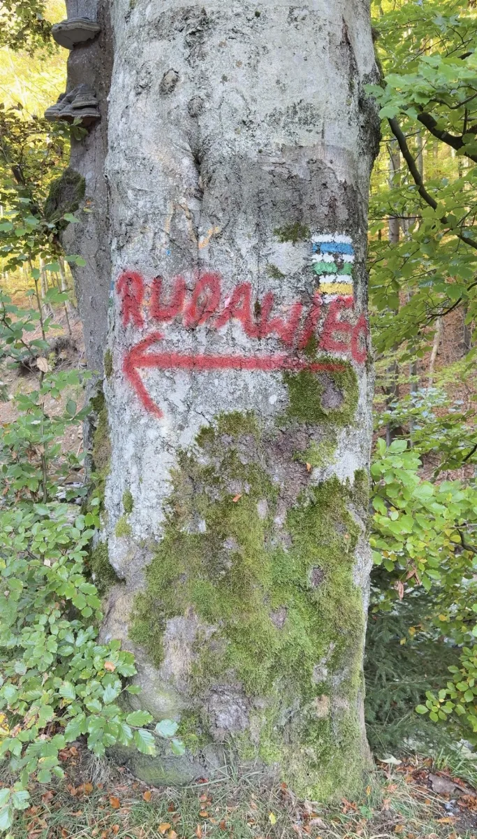 Zdjęcie szczytu Rudawiec (1106.00m) w paśmie Góry Bialskie