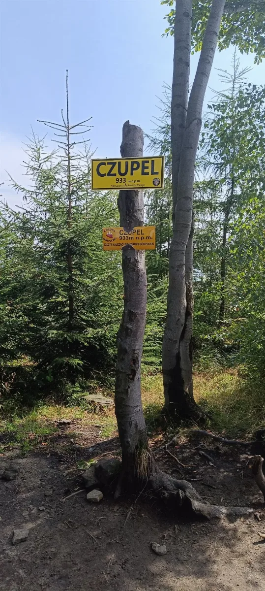 Zdjęcie szczytu Czupel (930.00m) w paśmie Beskid Mały