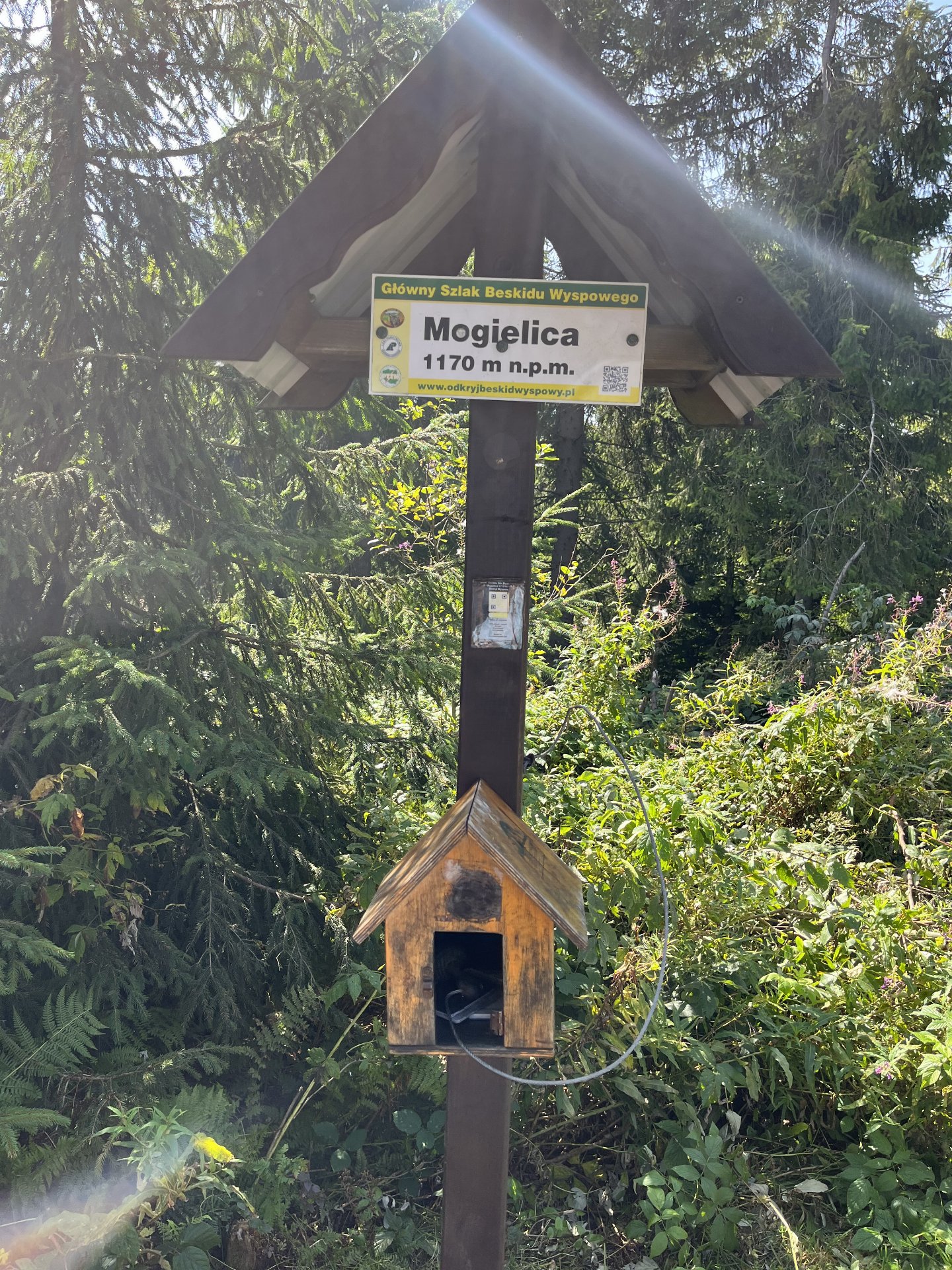 Mogielica