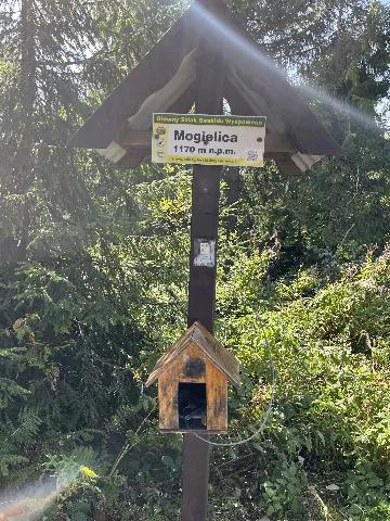 Mogielica