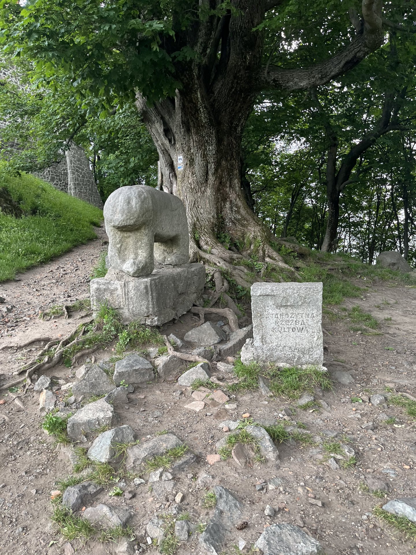 Ślęża