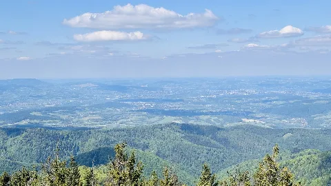 Zdjęcie społeczności — Radziejowa