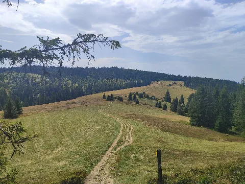 Zdjęcie społeczności — Turbacz